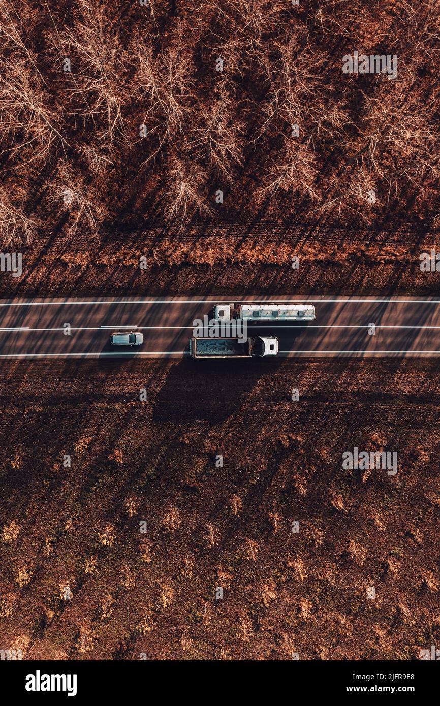 Foto con drone dall'alto in basso di due camion e auto sulla strada attraverso il bosco nel tramonto autunnale, luce del sole calda che getta lunghe ombre su veicoli e asfalto r Foto Stock