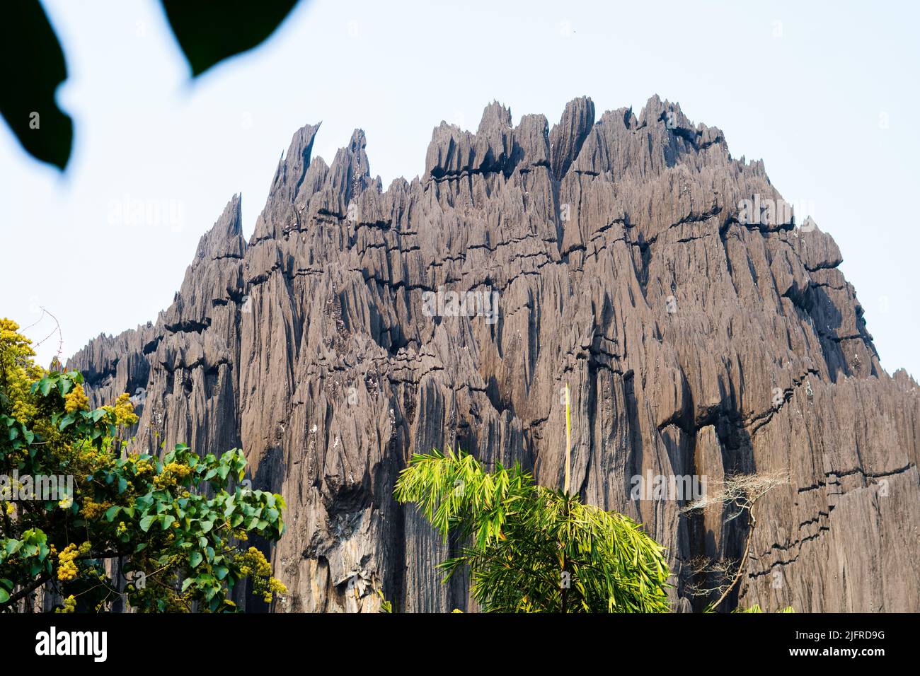 Yana è un villaggio situato nei boschi del distretto di Karnataka, Sirsi e Kumta Uttara Kannada Foto Stock