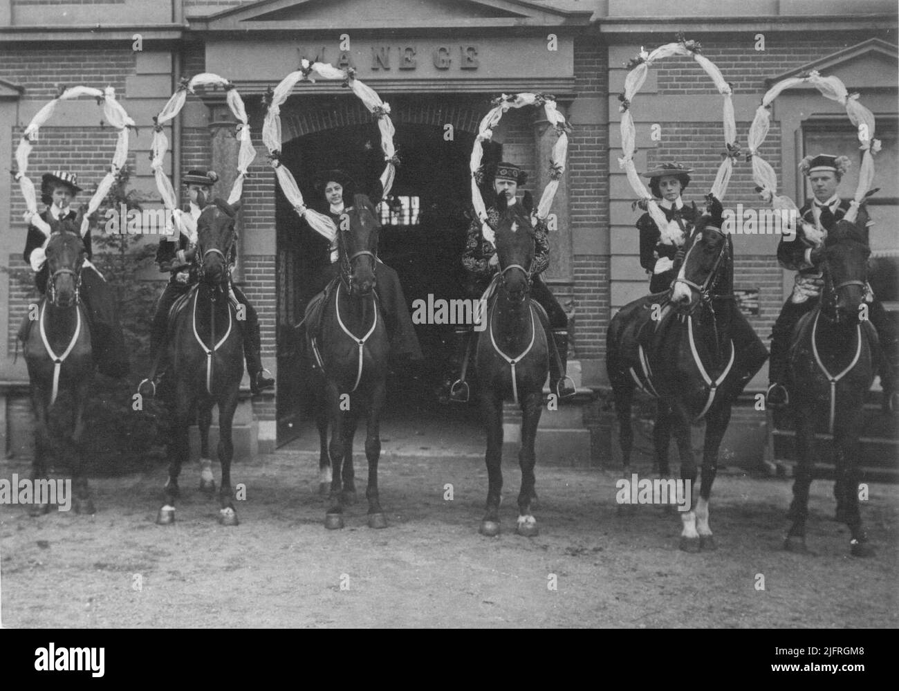 Cavalli per la scuola di equitazione Foto Stock