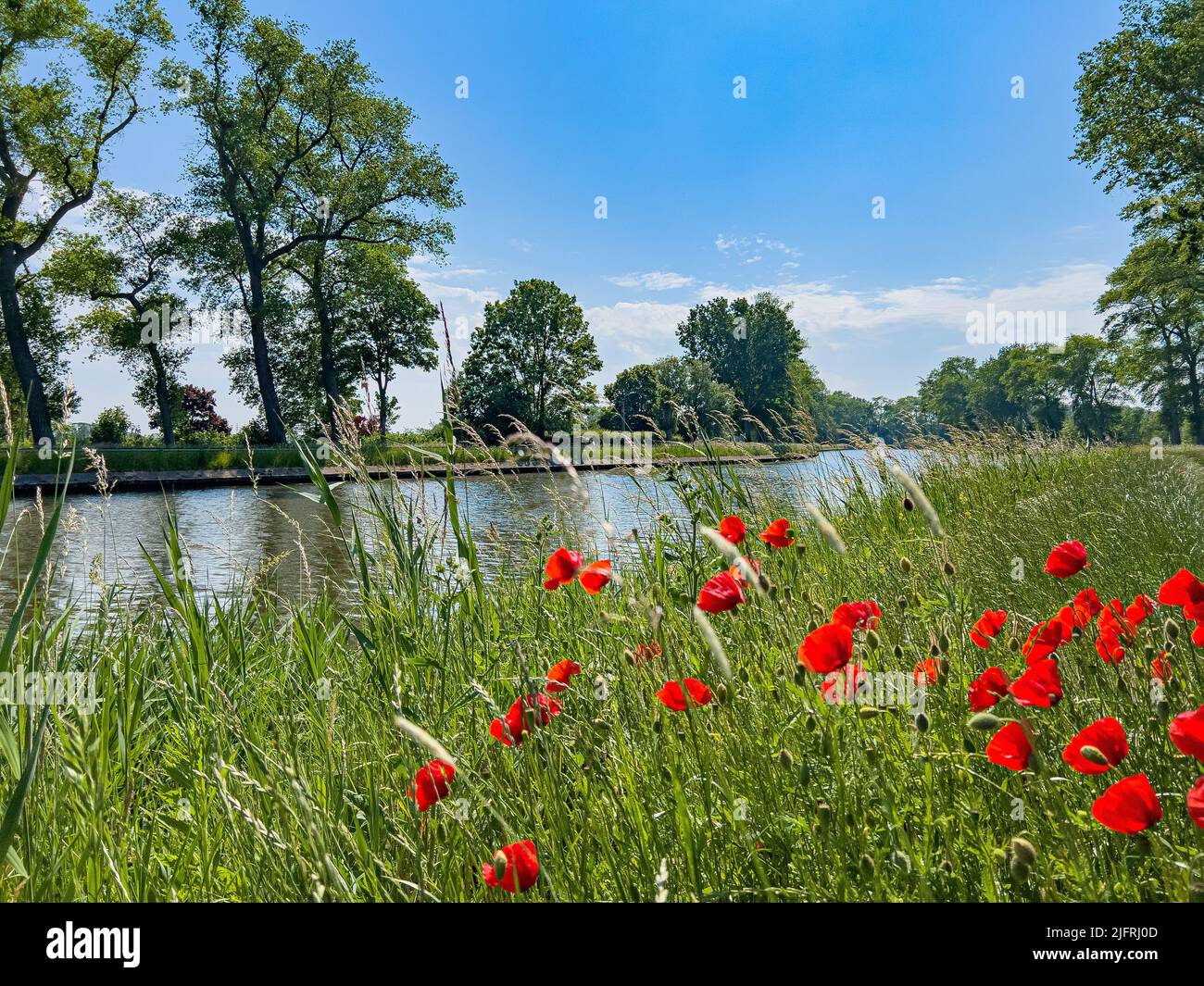 Una bella vista di un parco con alberi fioriti e tulipani rossi e un fiume che scorre nel mezzo Foto Stock