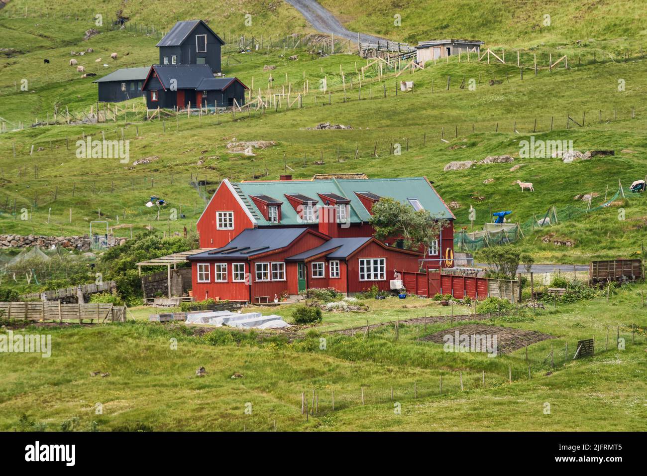 Fattoria arartica farovese vicino a Torshavn, Isole Faroe Foto Stock