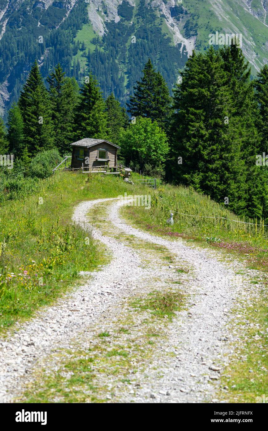 hölzerne Hütte am Waldrand im Brandnertal, mit toller Aussicht auf dem Berg gelegen. Steile steinige Berge im Hintergrund. Alpen in Vorarlberg, Austri Foto Stock