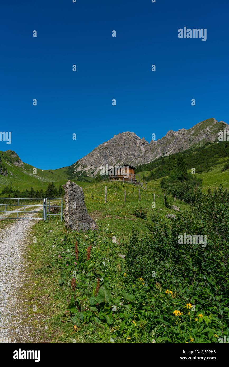 piccola capanna di legno sul prato alpino. Su una collina fiorita si erge una cabina nelle montagne della Brand Valley. Sulla strada sporca si erica un fienile alpino Foto Stock