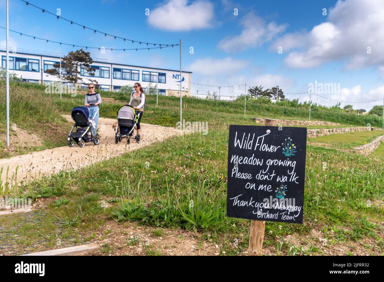 Un segno che protegge un prato di fiori selvatici a Newquay Orchard un'iniziativa comunitaria a Newquay in Cornovaglia nel Regno Unito. Foto Stock