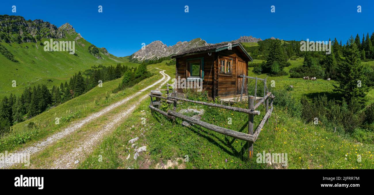 piccola capanna di legno sul prato alpino. Su una collina fiorita si erge una cabina nelle montagne della Brand Valley. Sulla strada sporca si erica un fienile alpino Foto Stock