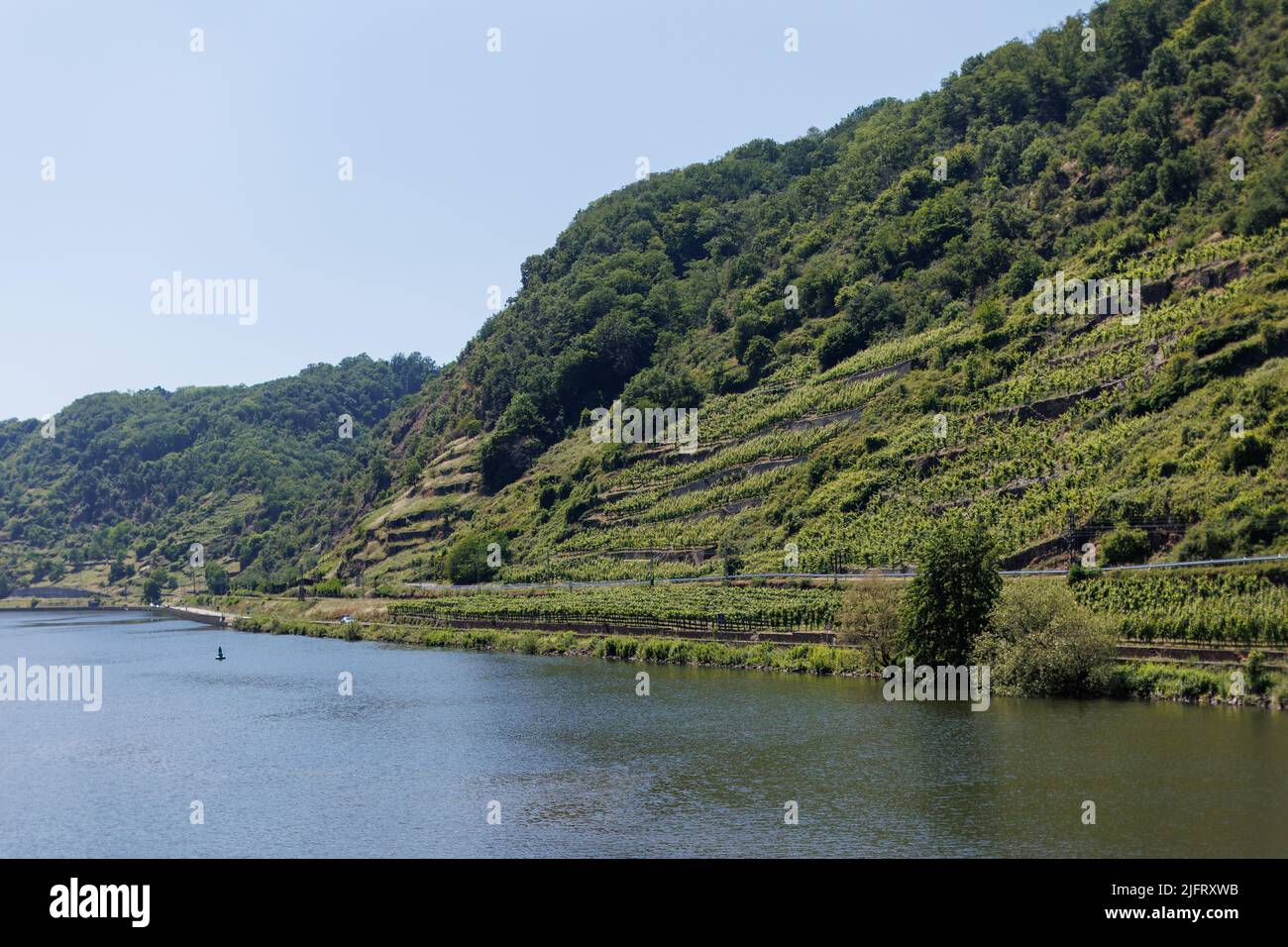 Immagini panoramiche da una crociera sul fiume lungo i fiumi Reno e Mosella, nella regione vinicola della Renania Occidentale, Germania Foto Stock