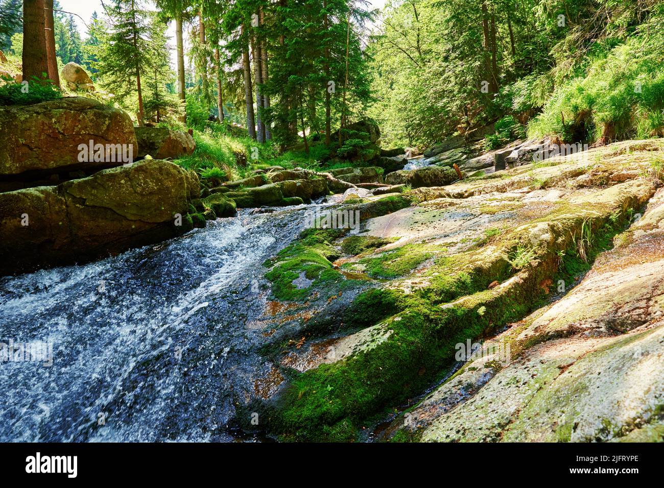 Fiume Lomnica nelle montagne di Karpacz in Polonia, fiume veloce cascata di montagna con pietre, bellissimo paesaggio naturale Foto Stock