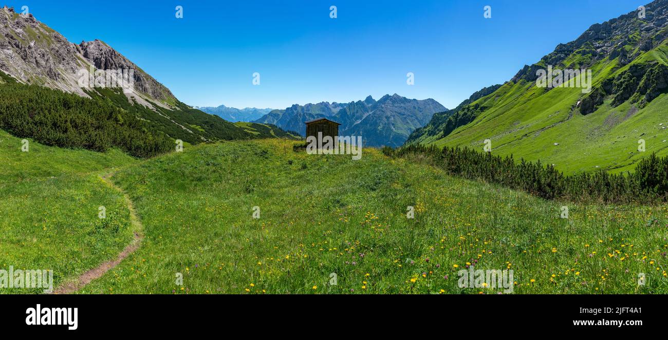 piccola capanna di legno sul prato alpino. Su una collina fiorita si erge una cabina nelle montagne della Brand Valley. Sulla strada sporca si erica un fienile alpino Foto Stock
