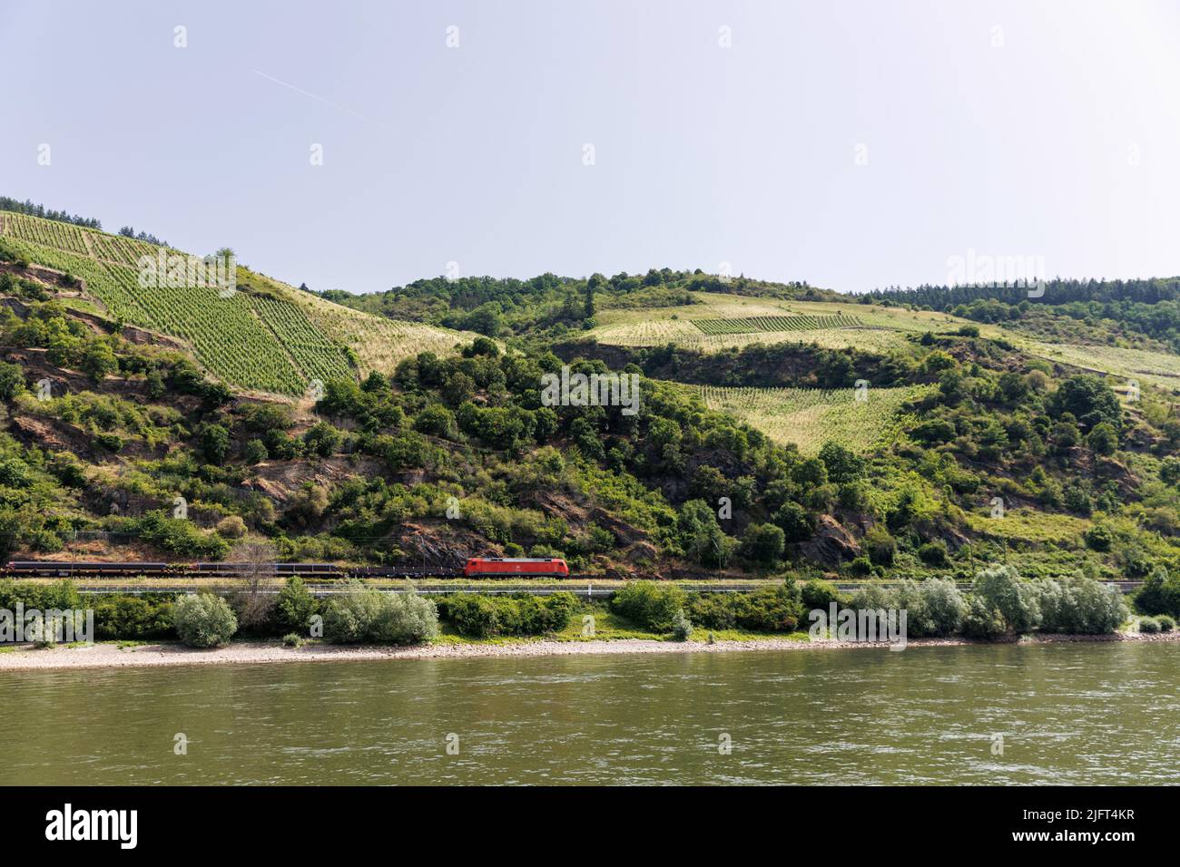 Immagini panoramiche da una crociera sul fiume lungo i fiumi Reno e Mosella, nella regione vinicola della Renania Occidentale, Germania Foto Stock