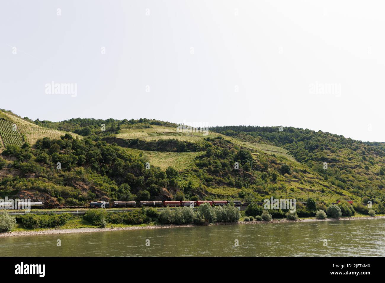 Immagini panoramiche da una crociera sul fiume lungo i fiumi Reno e Mosella, nella regione vinicola della Renania Occidentale, Germania Foto Stock