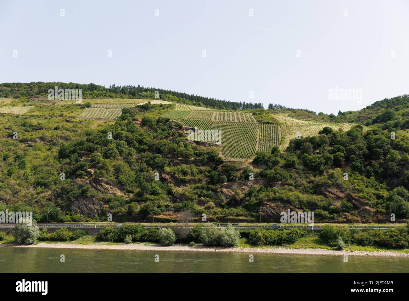 Immagini panoramiche da una crociera sul fiume lungo i fiumi Reno e Mosella, nella regione vinicola della Renania Occidentale, Germania Foto Stock