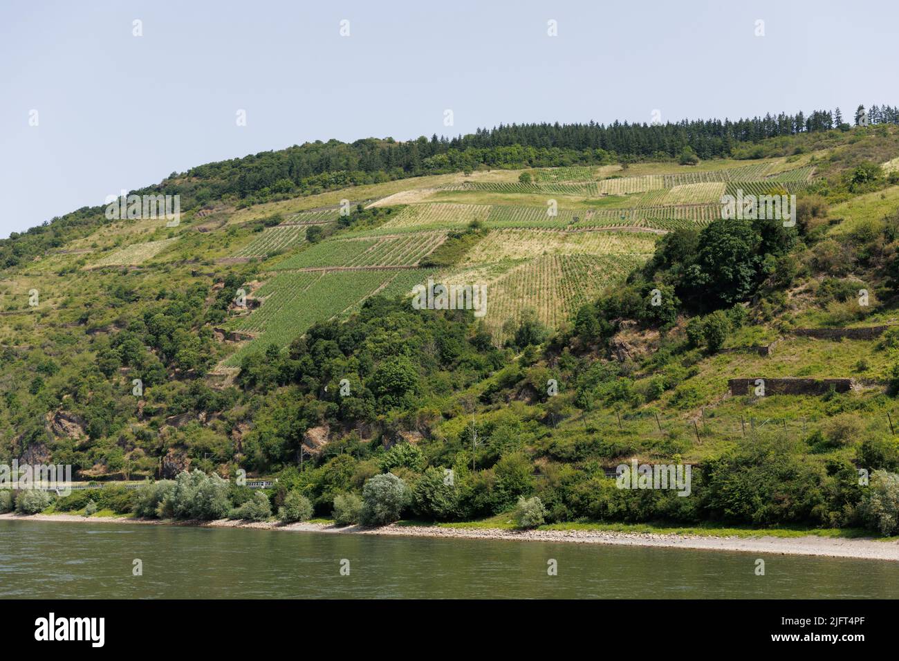 Immagini panoramiche da una crociera sul fiume lungo i fiumi Reno e Mosella, nella regione vinicola della Renania Occidentale, Germania Foto Stock