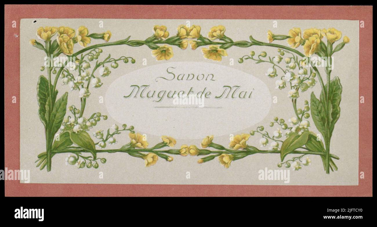 Giglio della valle Foto Stock