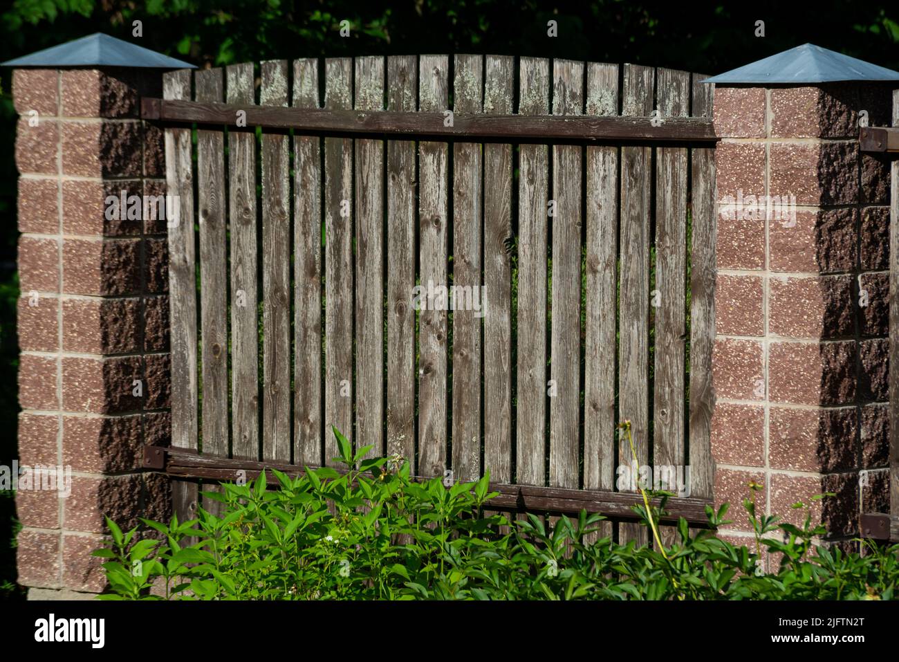 pannelli di una classica recinzione in legno di piume da giardino con montanti di supporto in calcestruzzo Foto Stock
