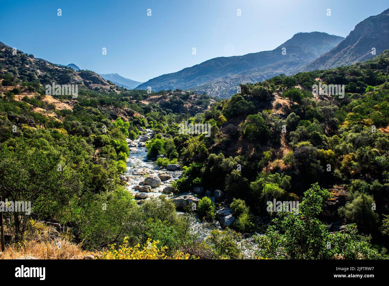 Sequoia National Park, California Foto Stock