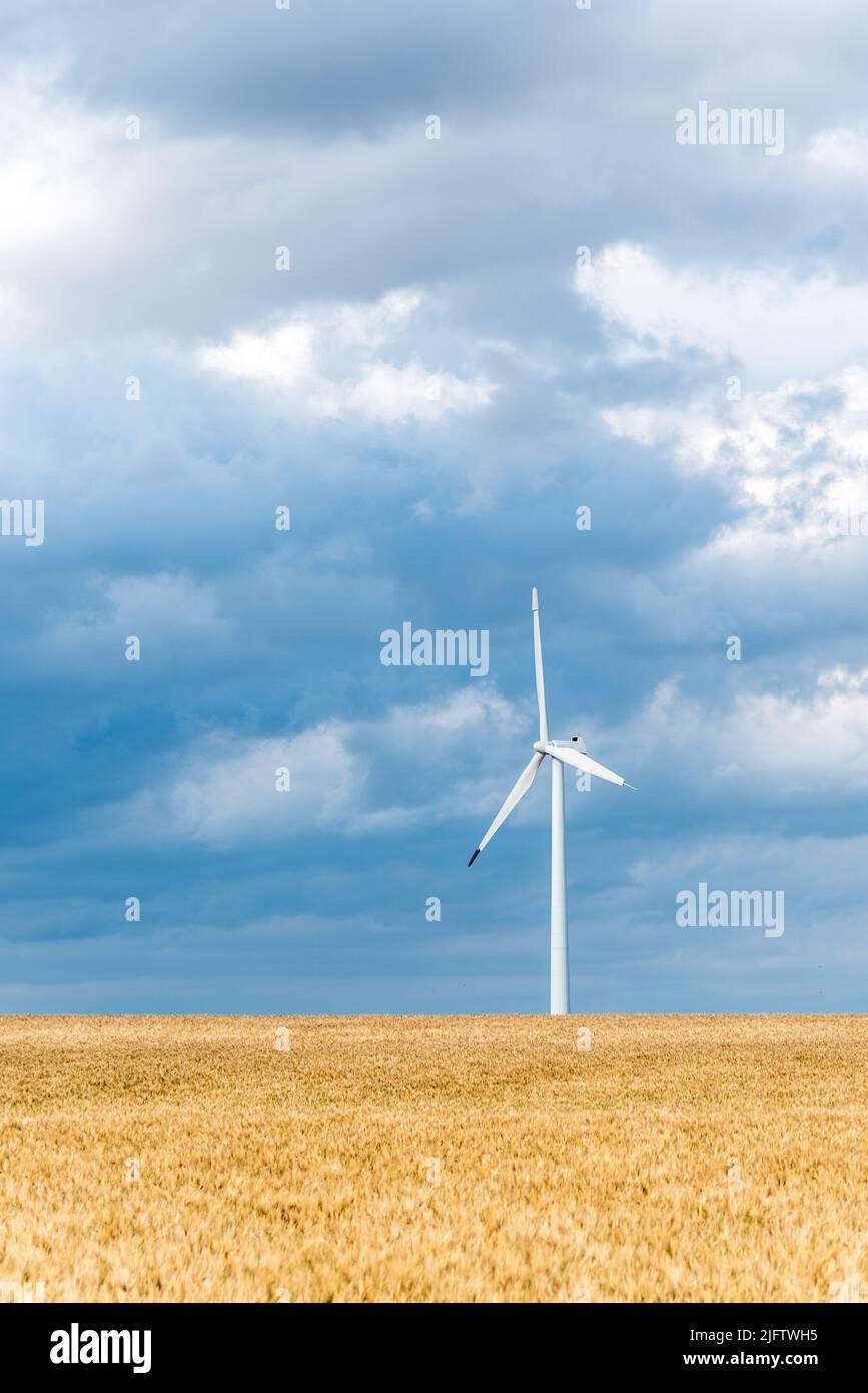 Foto verticale della turbina eolica in un cielo nuvoloso in un campo piantato di grano. Concetto di energia eolica. Foto Stock