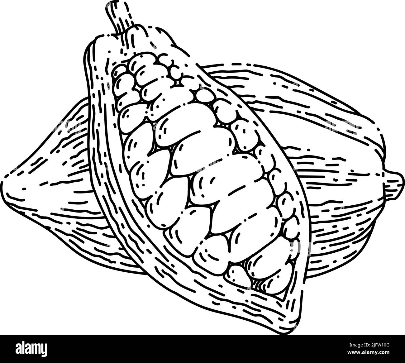 cioccolato cacao disegno a mano vettore Illustrazione Vettoriale