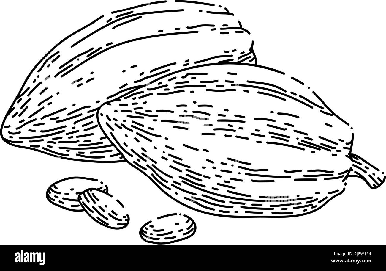 cioccolato cacao disegno a mano vettore Illustrazione Vettoriale