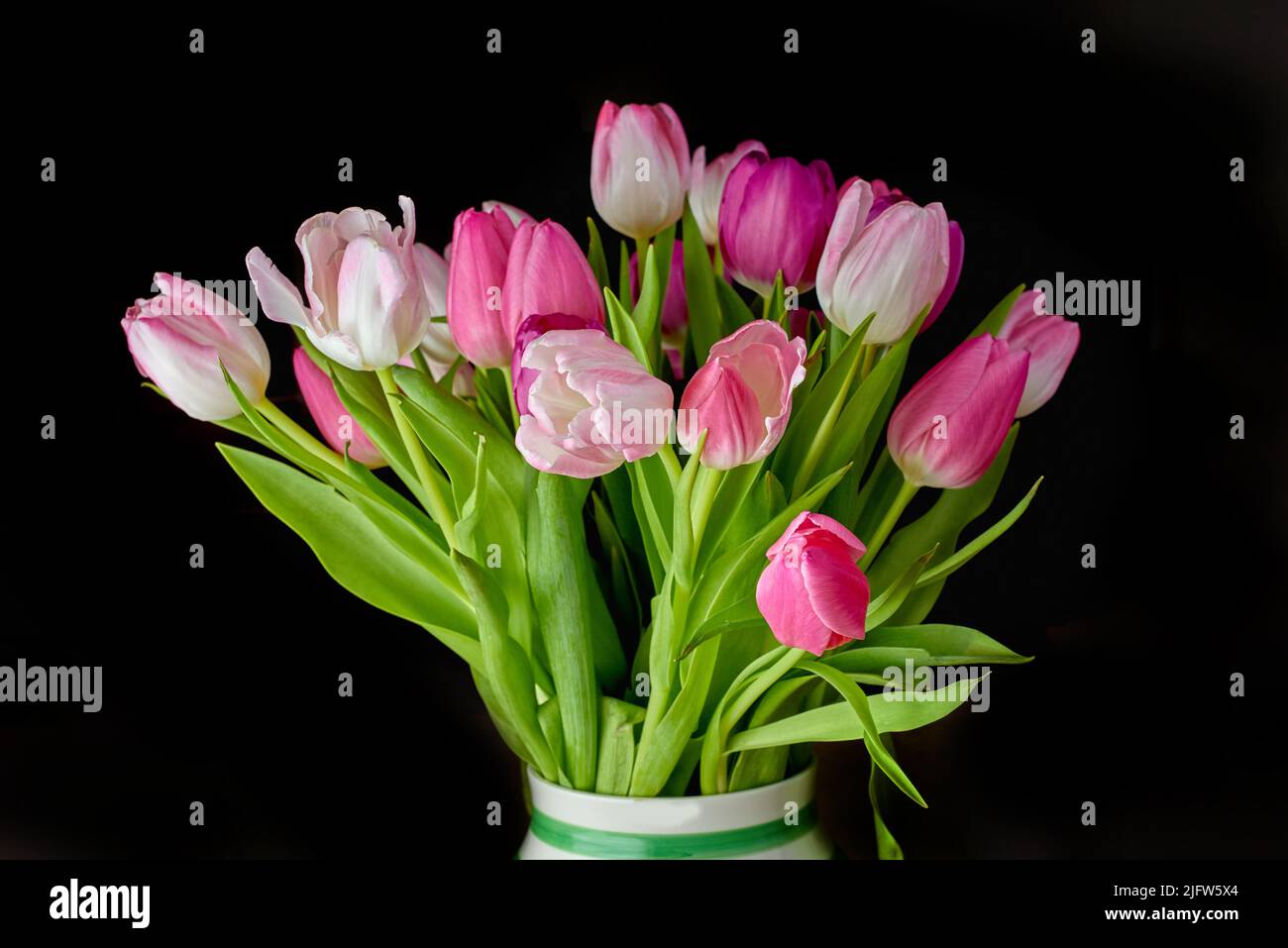 Bouquet rosa di fiori che crescono in vaso su sfondo nero. Belle piante fiorite che fioriscono in un vaso visualizzato contro un oscuro setup Foto Stock