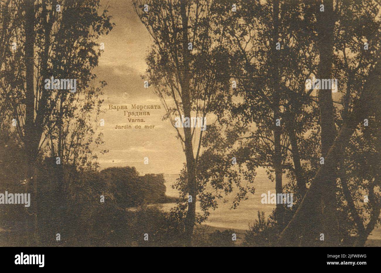 Varna. Giardino del mare Foto Stock