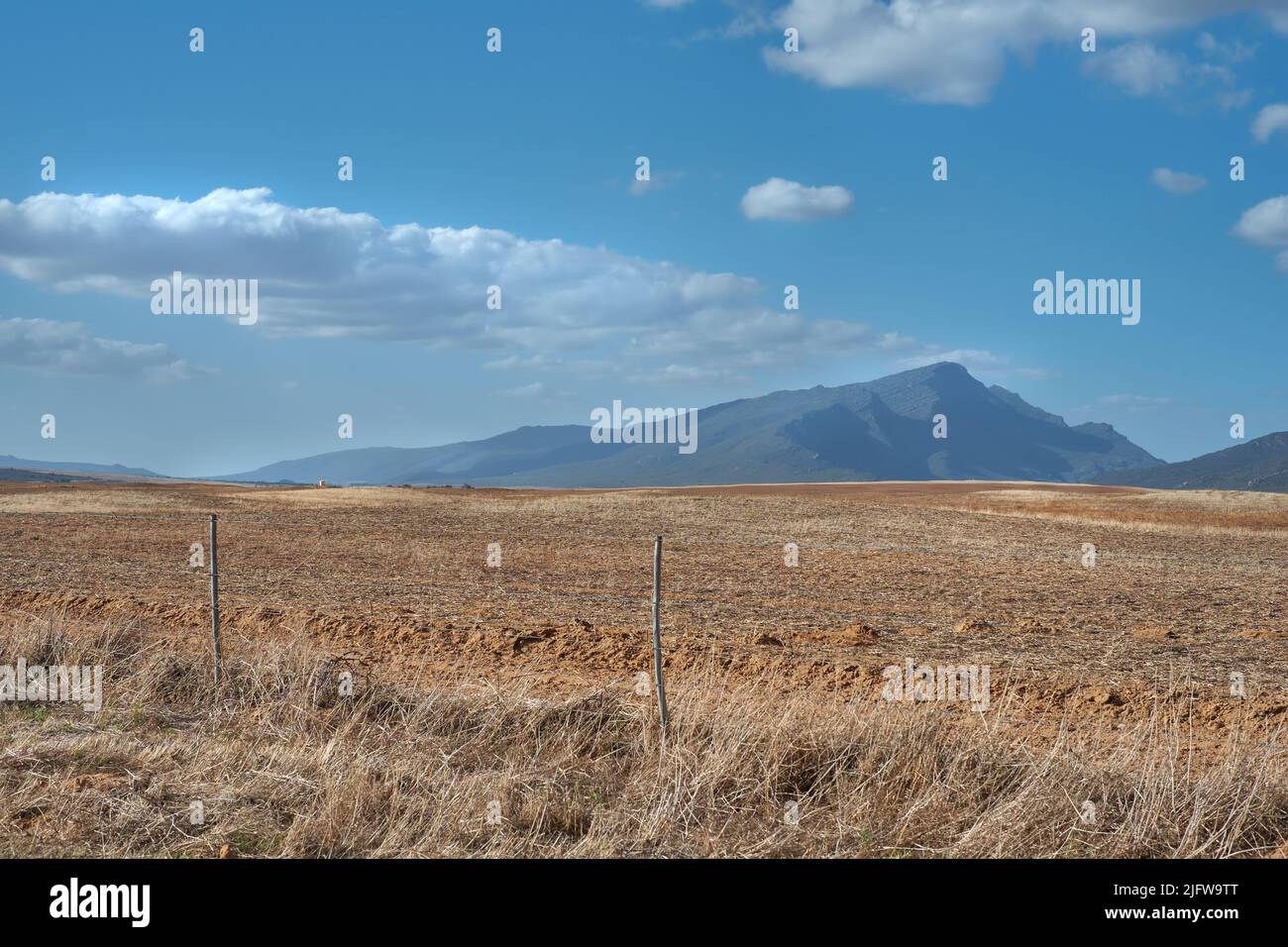 Terreno agricolo nel Capo occidentale del Sud Africa nel bel mezzo della giornata con montagne e cielo blu nuvoloso sullo sfondo. Campo asciutto all'aperto su un Foto Stock
