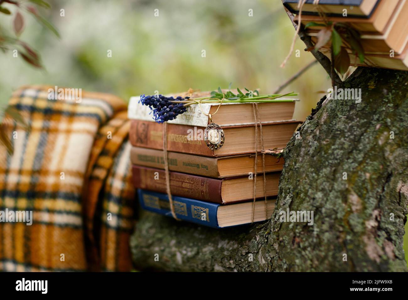 Lettura hobby autunno natura libri tempo libero Foto Stock