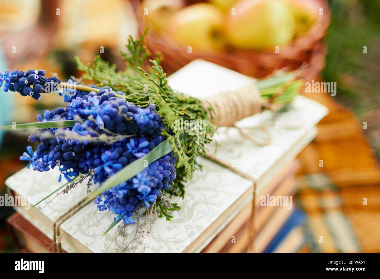 Lettura hobby autunno natura libri tempo libero Foto Stock