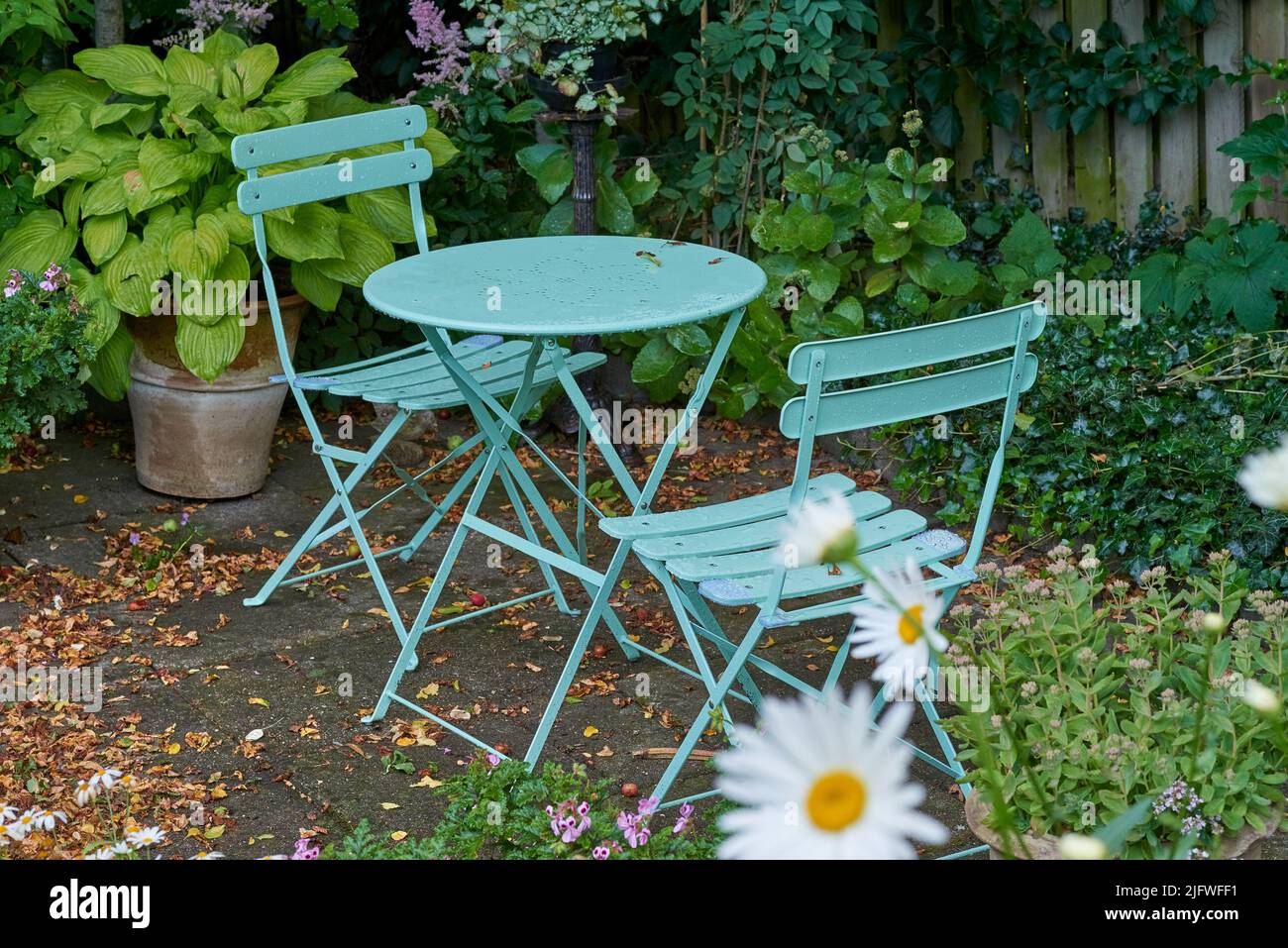 Sedie e un tavolo con piante in fiore in un parco o patio privato all'aperto. Posti a sedere vuoti in un lussureggiante giardino verde per rilassarsi e godersi un picnic o. Foto Stock