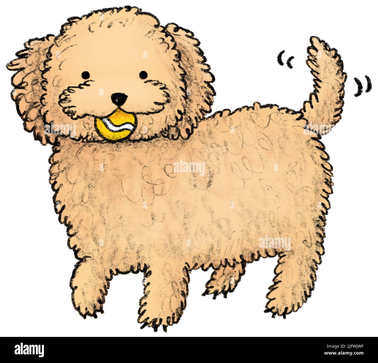 Cavodle con una palla da tennis originale ilustration Foto Stock