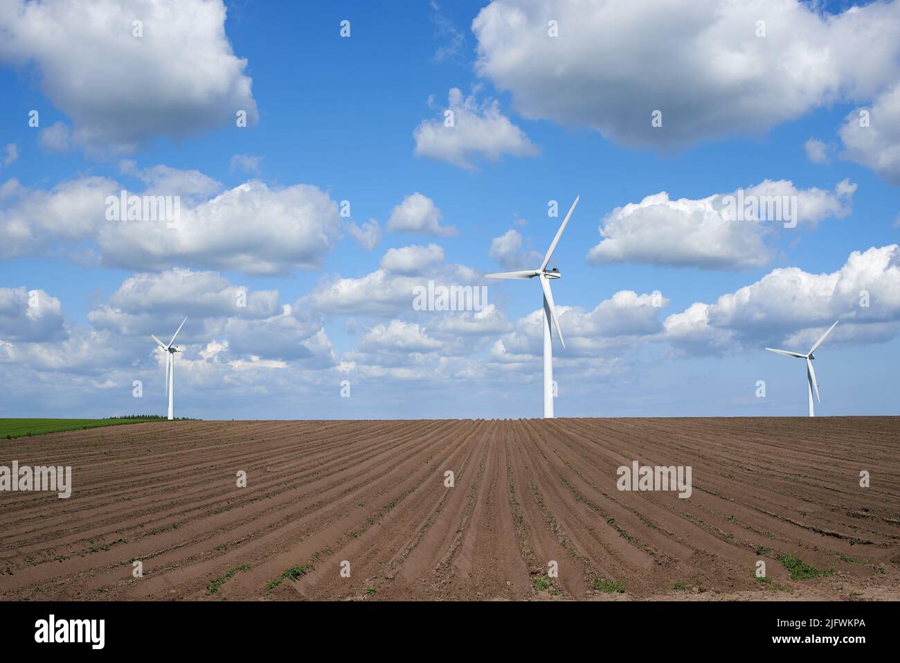 Turbine eoliche e infrastrutture ambientali isolate contro il cielo blu con spazio copia in una fattoria energetica vuota. Eliche che convertono sostenibile Foto Stock