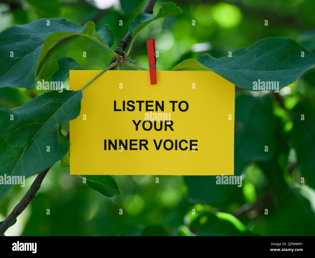 Una nota cartacea con le parole Ascolta la tua voce interiore su di essa attaccata ad un albero con una spilla abiti. Primo piano. Foto Stock