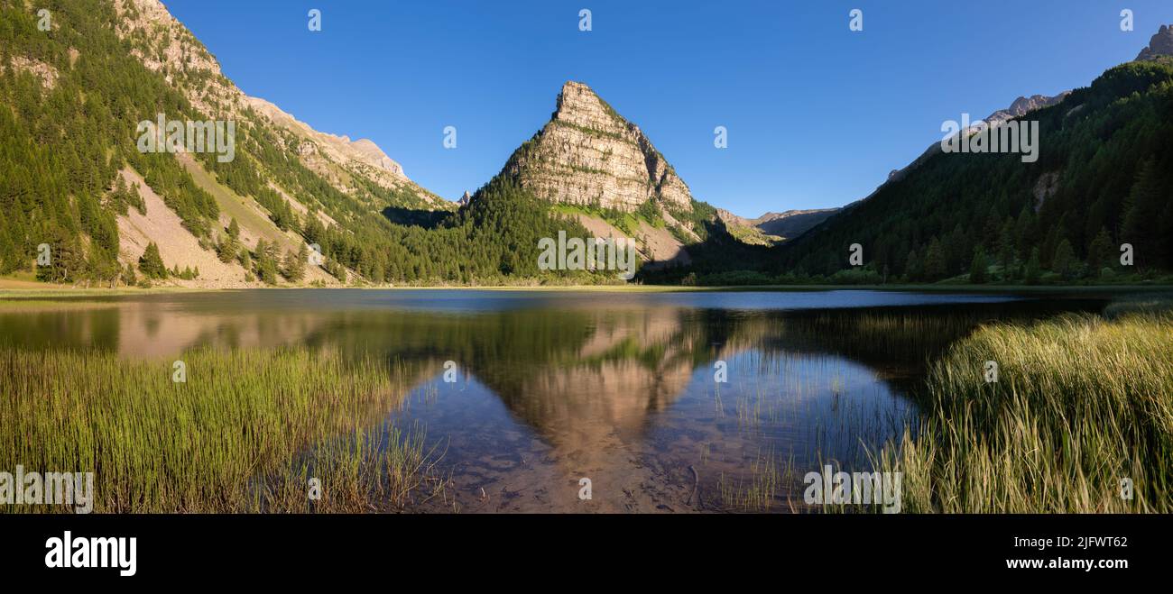 Lac des Sagnes in estate con la Tour des Sagnes montagna a forma di piramide nel Parco Nazionale del Mercantour al tramonto. Alpes-de-Haute-Provence, Francia Foto Stock