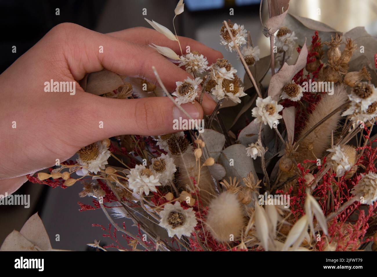 Mani di un giovane uomo bianco che arrangiano i fiori secchi di una decorazione Foto Stock