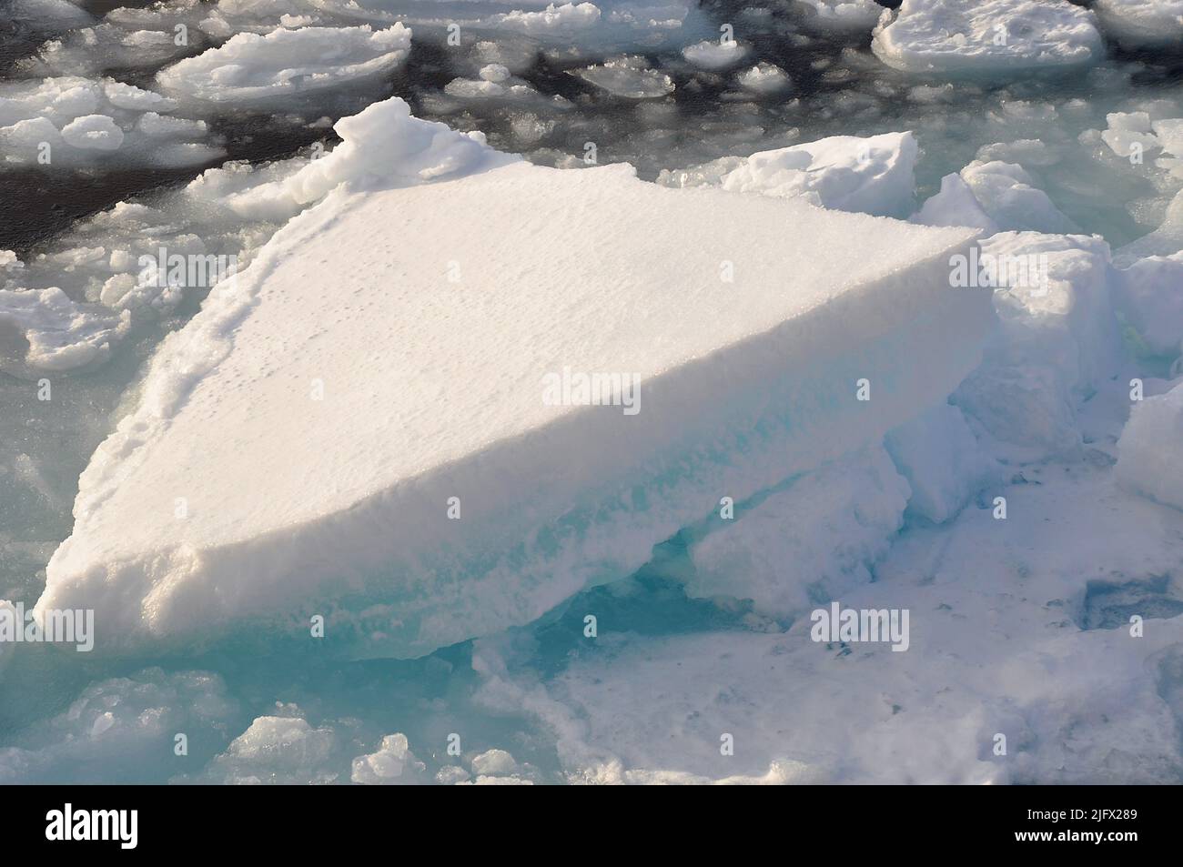Una gallina di ghiaccio nell'Oceano Artico. Ghiaccio rotto a forma di un cuneo grande. Arctic Ocean, settembre (2009) credito: P.Kelley, USCG Foto Stock