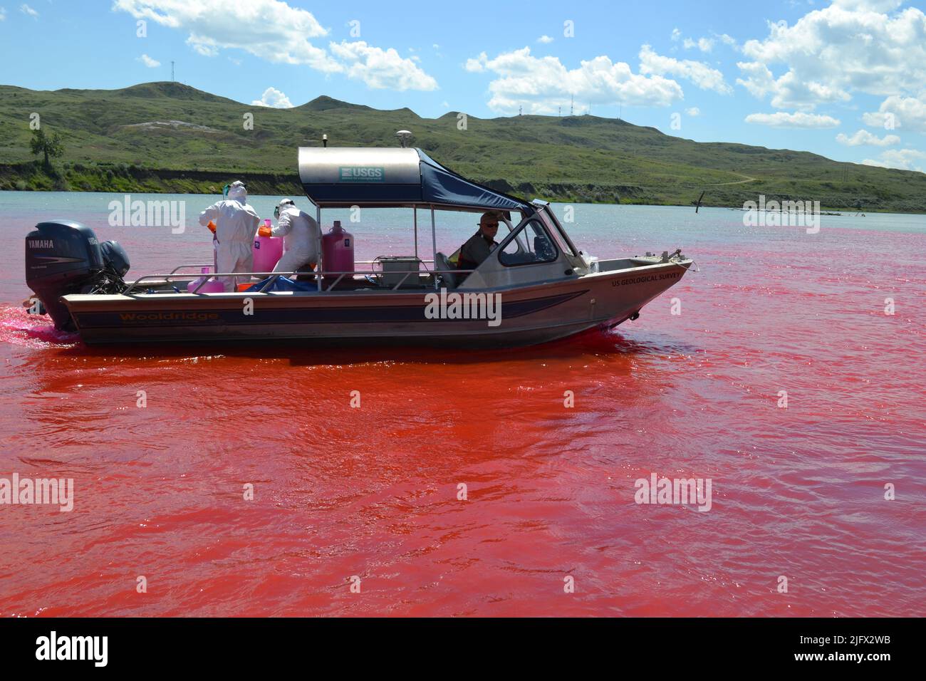 U.S. Geological Survey River Scientists studiando il destino delle larve di storione pallido sul fiume Missouri superiore in Montana. La traccia di colorante rosso (Rhodamine-WT), in questa immagine, è utilizzata per calcolare la velocità di dispersione a valle. Una migliore comprensione delle dinamiche in cui le larve si muovono a valle, e di quanto tempo devono stabilirsi in sicurezza e iniziare a nutrirsi, può portare a importanti opzioni di recupero per questo pesce in pericolo. Credito: USGS Foto Stock