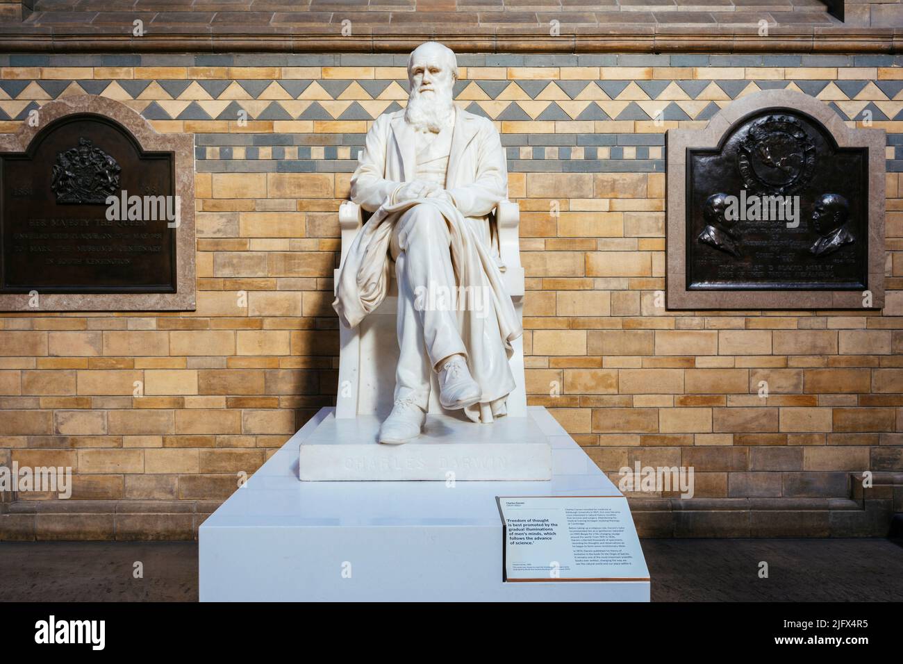 Statua di marmo bianco di Charles Darwin nel Museo di Storia Naturale. Charles Robert Darwin, 12 febbraio 1809 – 19 aprile 1882, è stato un Foto Stock
