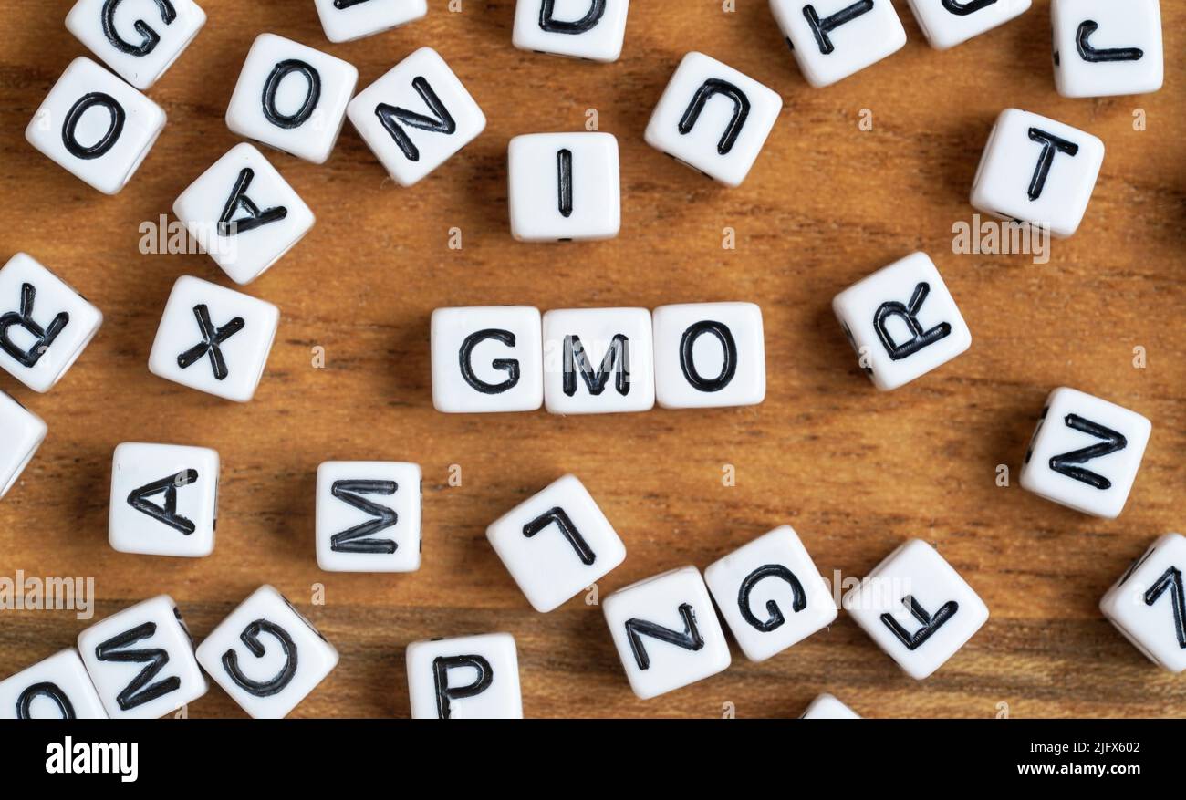 Piccoli cubetti di perle bianche e nere su asse di legno, lettere in mezzo incantesimo OGM - geneticamente modificato concetto alimentare Foto Stock