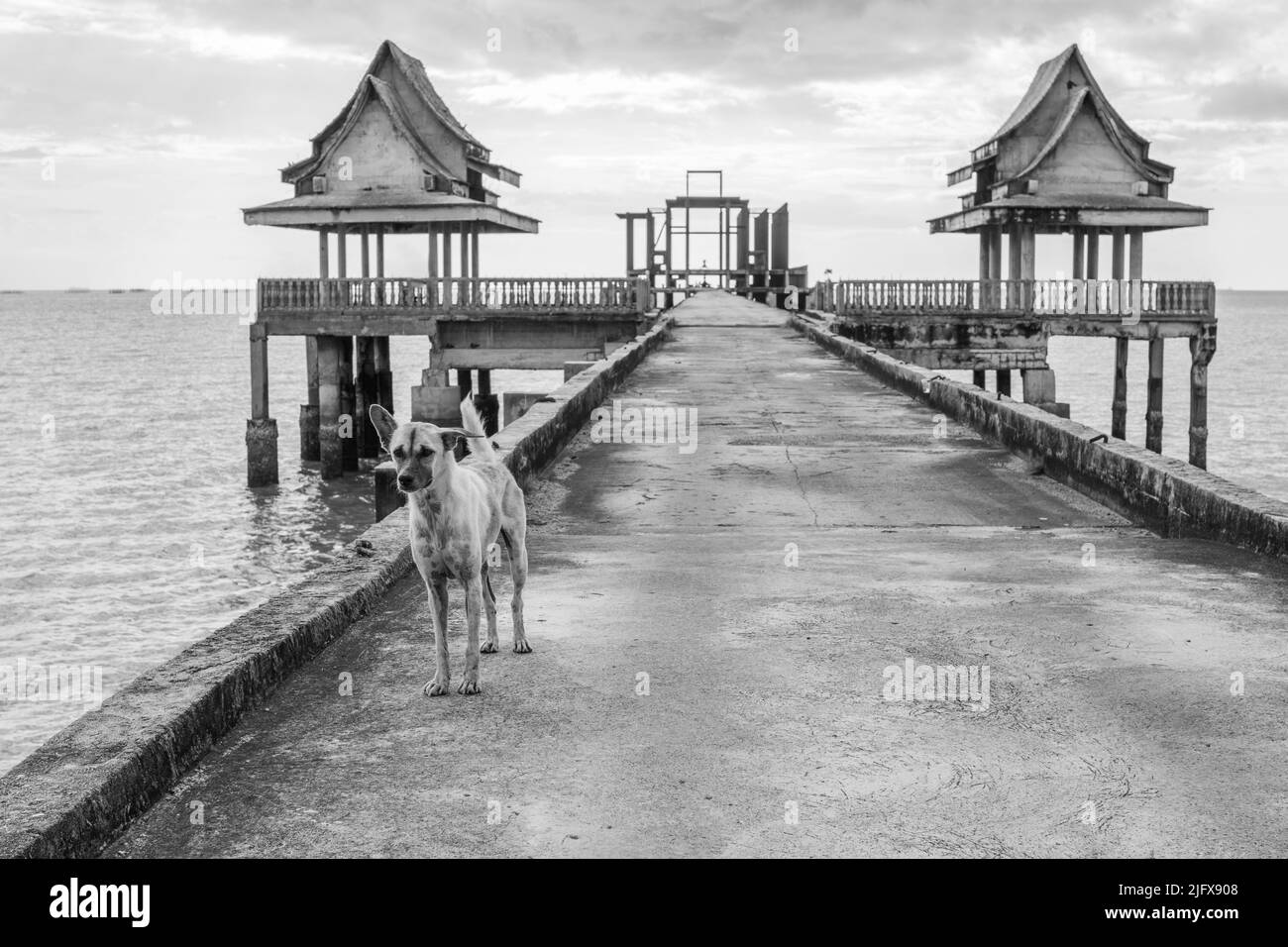 Cani da strada thailandesi ad un molo che conduce ad un tempio incompiuto in Thailandia Sud-Est asiatico Foto Stock