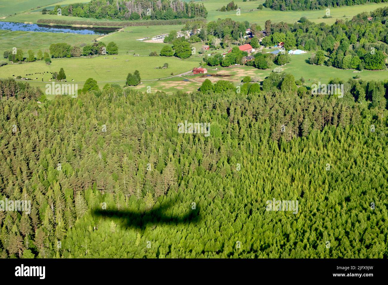 Ombra nella foresta sotto di Finnair Airbus 330 in avvicinamento all'aeroporto di Stoccolma il 7th 2022 giugno Foto Stock