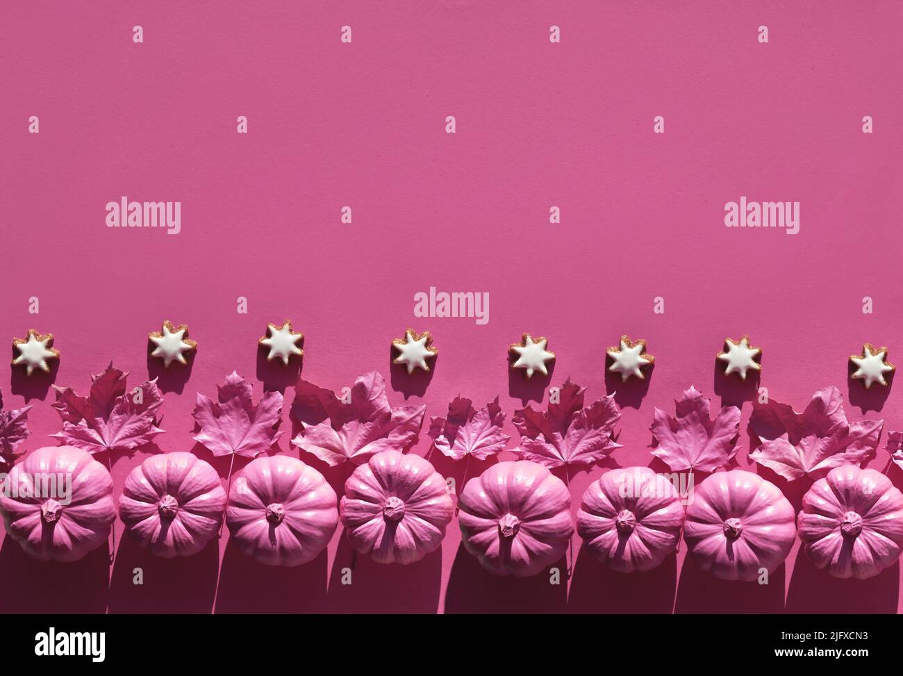 Bordo magenta con decorazioni autunnali - zucche, foglie secche, biscotti stellari. Spazio copia, posizione per il testo. Foto Stock