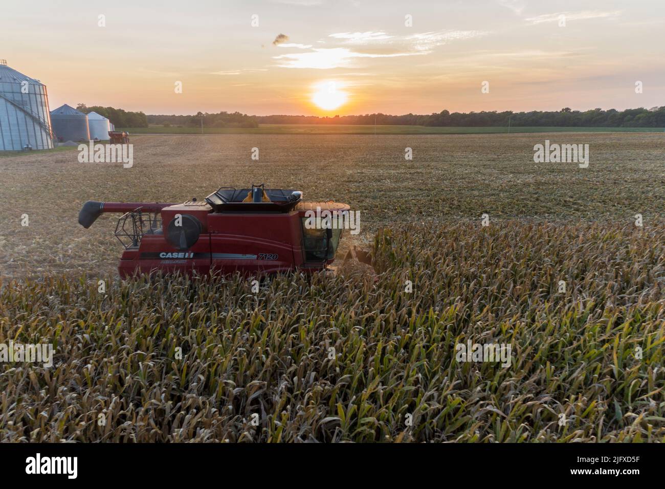 63801-21515 Farmer che raccoglie mais al tramonto Marion Co. Il Foto Stock
