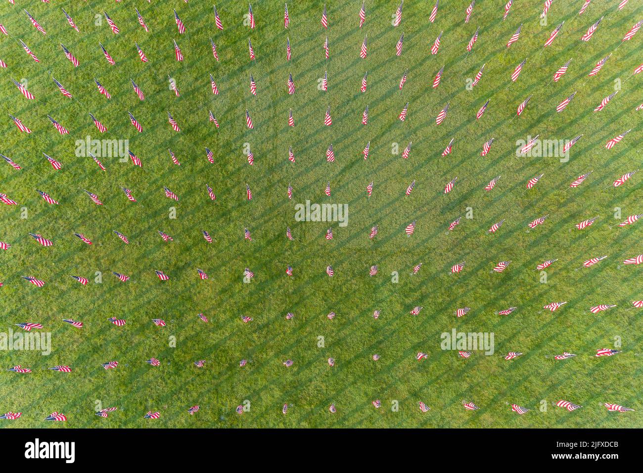 65095-03413 Aerial of Flags of Valor mostra su Art Hill di St. Louis Art Museum Forest Park St. Louis MO Foto Stock