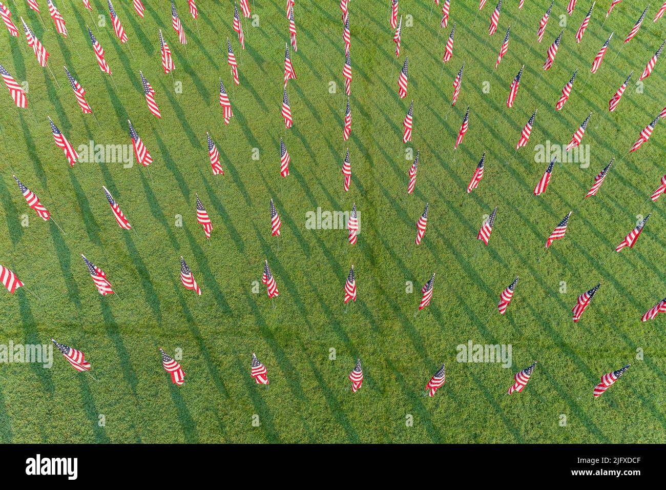 65095-03419 Aerial of Flags of Valor mostra su Art Hill di St. Louis Art Museum Forest Park St. Louis MO Foto Stock
