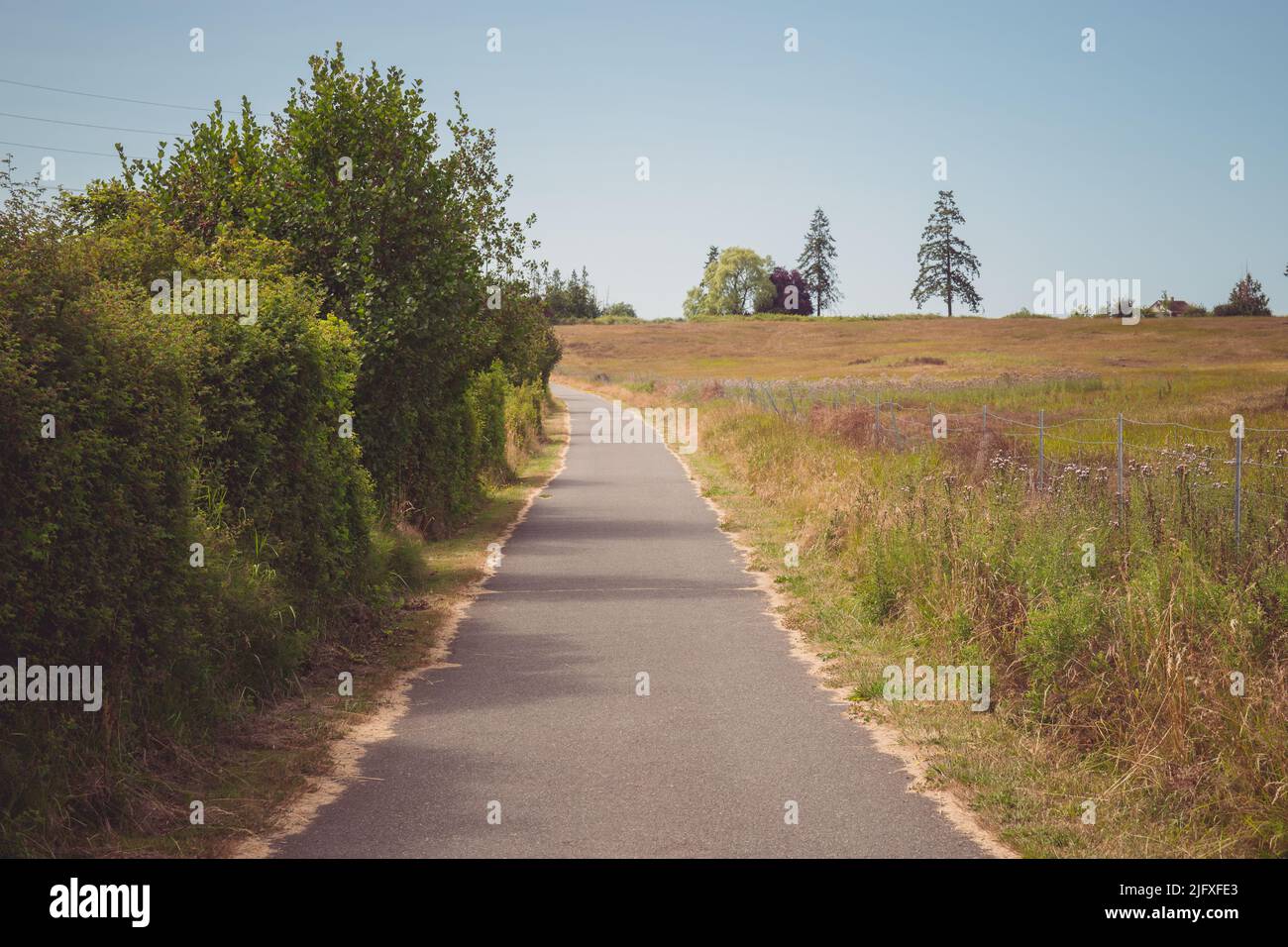 Verde e campo di erba lungo l'Olympic Discovery Trail a Sequim, Washington Foto Stock