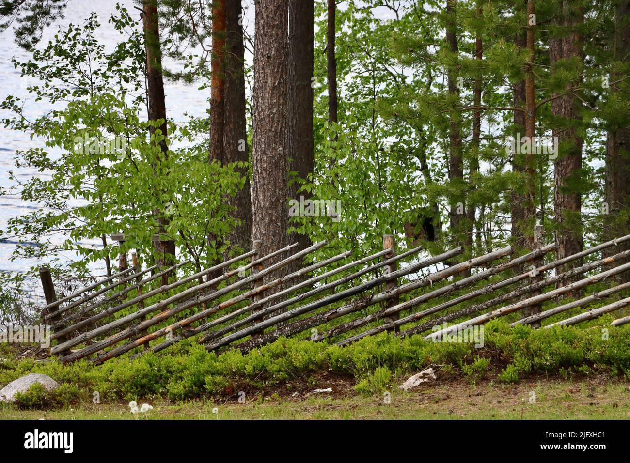 Recinzione in legno vecchio stile a Uukuniemi, Finlandia orientale nel giugno 2022 Foto Stock