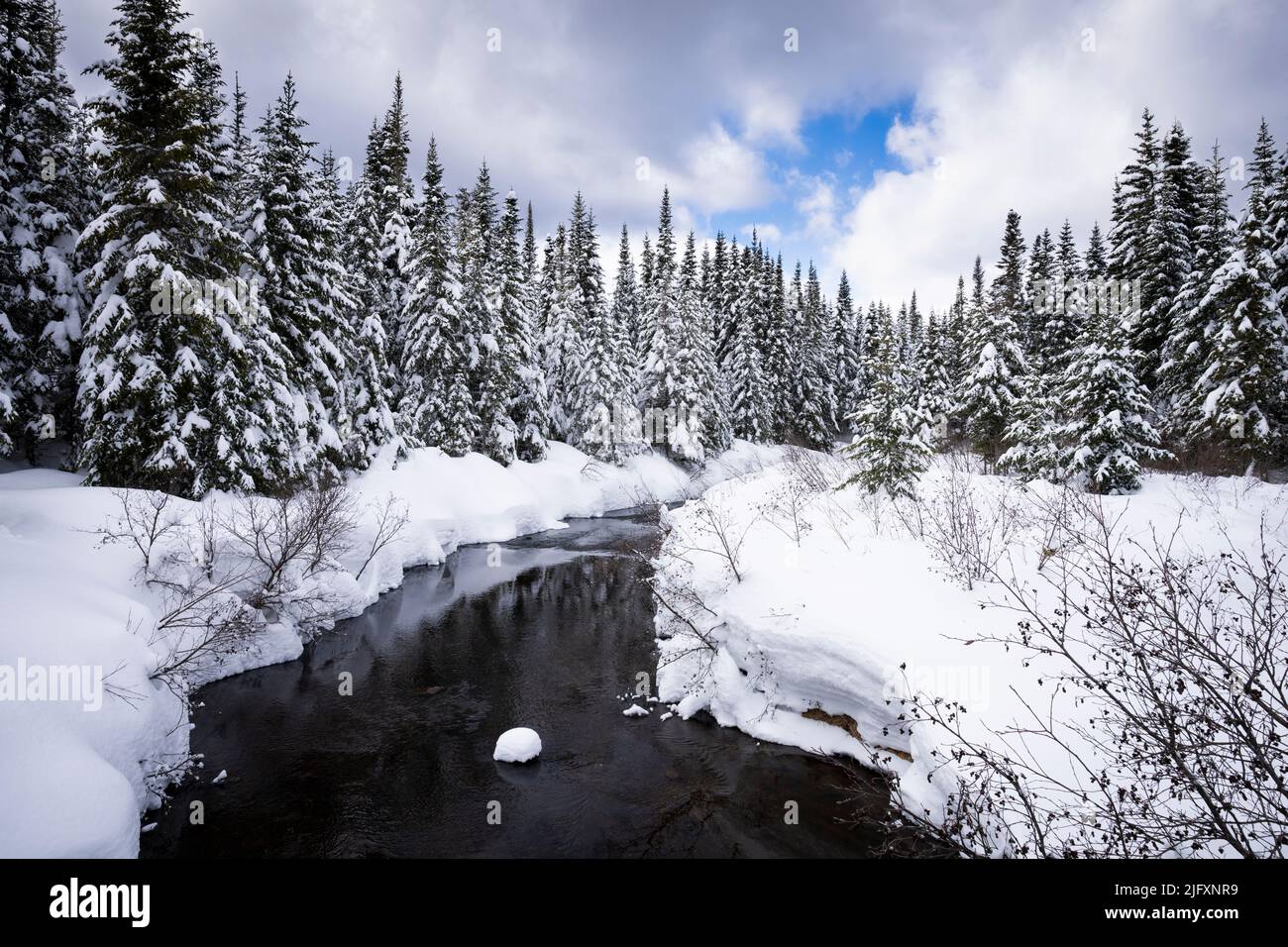 Scena invernale con splendida foresta, fiume e cielo nuvoloso in un parco nazionale in Canada. Foto Stock