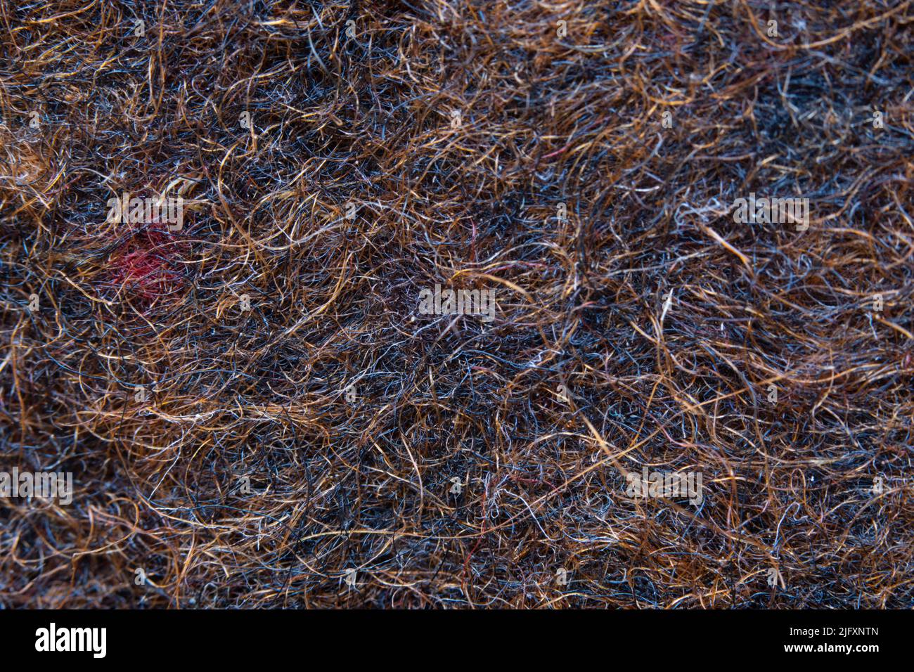 Texture marrone in feltro in close up estremo Foto Stock