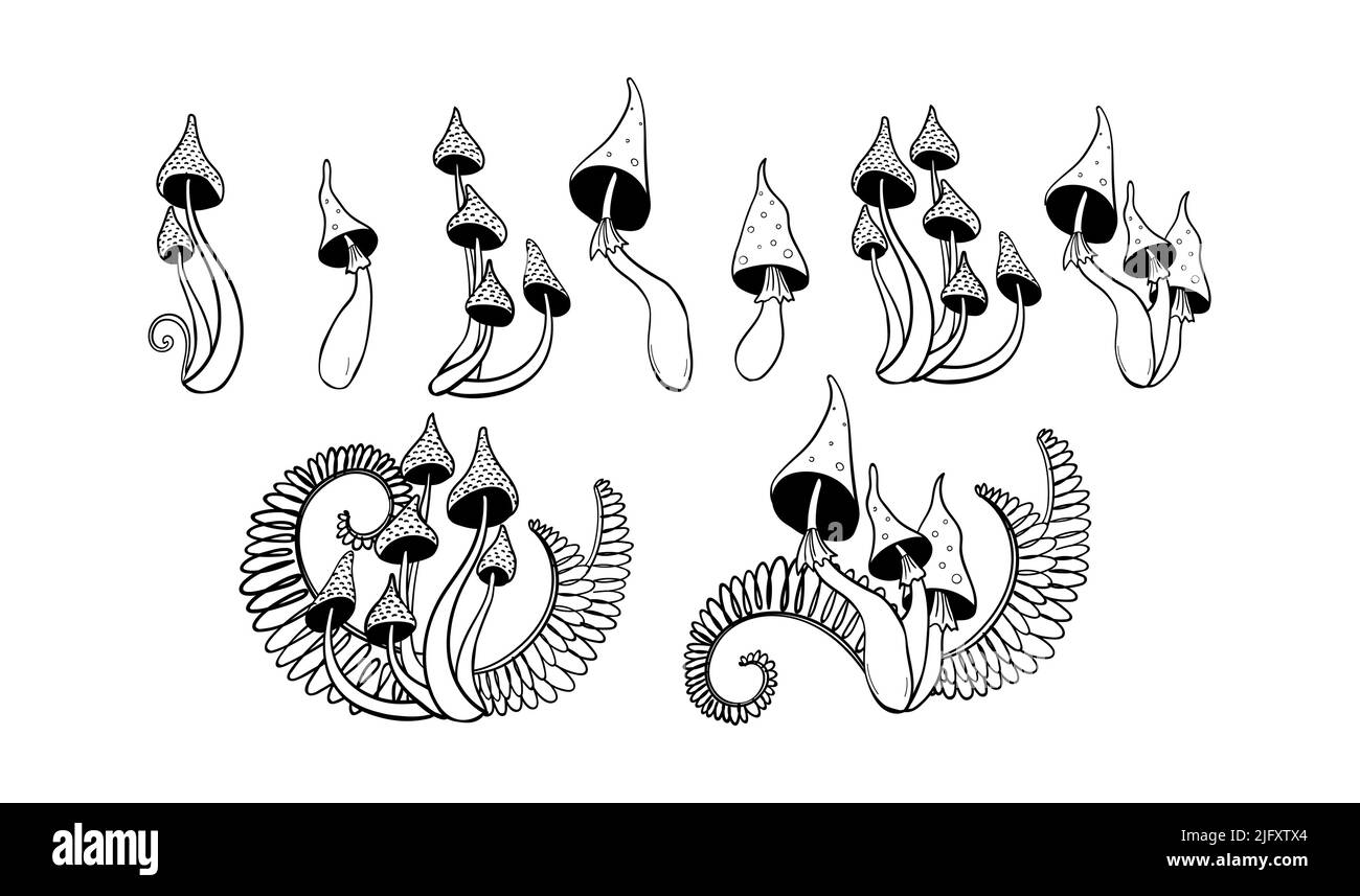 Set disegnato a mano di funghi velenosi, toadsgabelli. Mistico tatuaggio boho witch con foglie di felce, magia scura e design witchcraft. Isolamento dello schizzo vettoriale Illustrazione Vettoriale