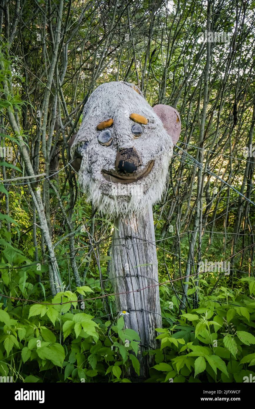 Le teste urlanti di Muskoka, Ontario, Canada, è un caso di mostra dell'artista Peter Camani sculture all'aperto su oltre 300 acri di proprietà Foto Stock