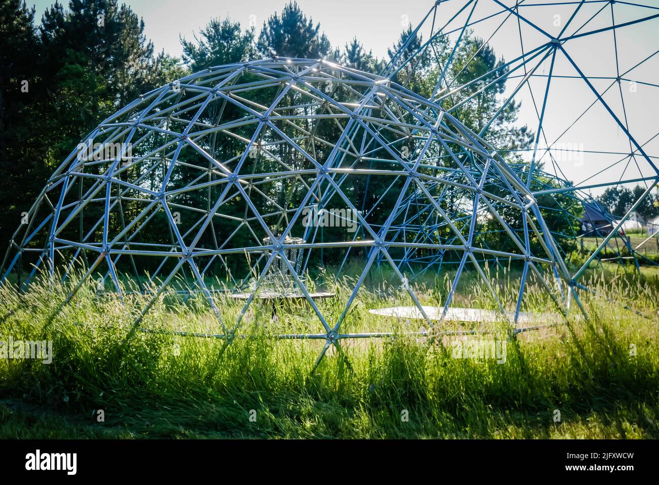 Le teste urlanti di Muskoka, Ontario, Canada, è un caso di mostra dell'artista Peter Camani sculture all'aperto su oltre 300 acri di proprietà Foto Stock